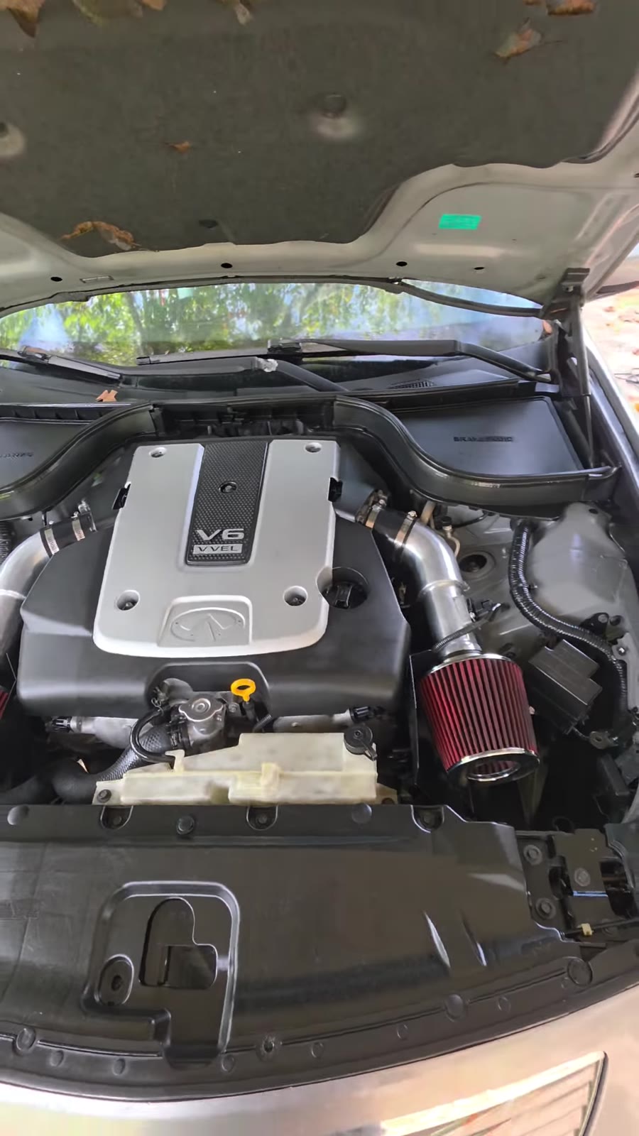 Cleaned V6 engine bay